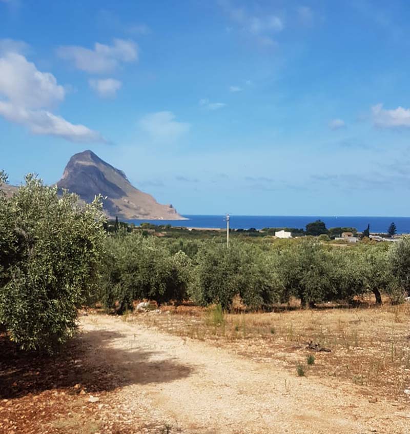 Feudo Poma - Azienda agricola Poma